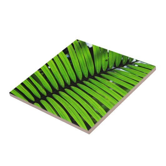 Muster der hinteren Blätter Fliese (Seite)