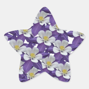 Muster der kolumbianischen Blume Stern-Aufkleber