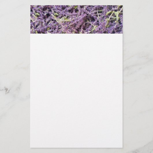 Muster der Lavendel-Blume Briefpapier (Vorderseite)