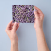 Muster der Lavendel-Blume Flyer (Gruppe)