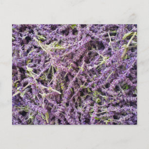 Muster der Lavendel-Blume Flyer