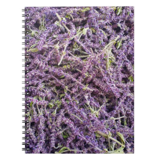 Muster der Lavendel-Blume Notizblock (Vorderseite)