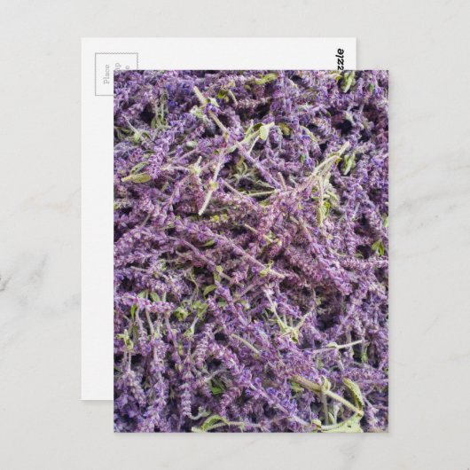 Muster der Lavendel-Blume Postkarte (Vorne/Hinten)