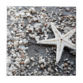 Muster der Muschel im Küstenmeer Fliese (Vorderseite)