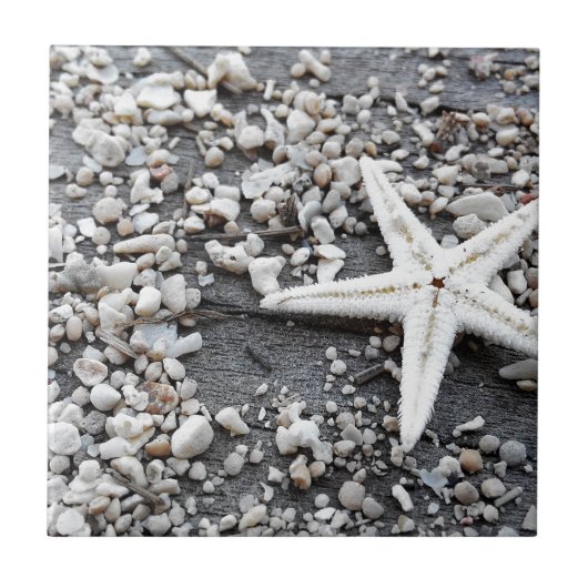 Muster der Muschel im Küstenmeer Fliese (Vorderseite)