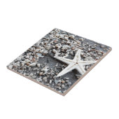 Muster der Muschel im Küstenmeer Fliese (Seite)