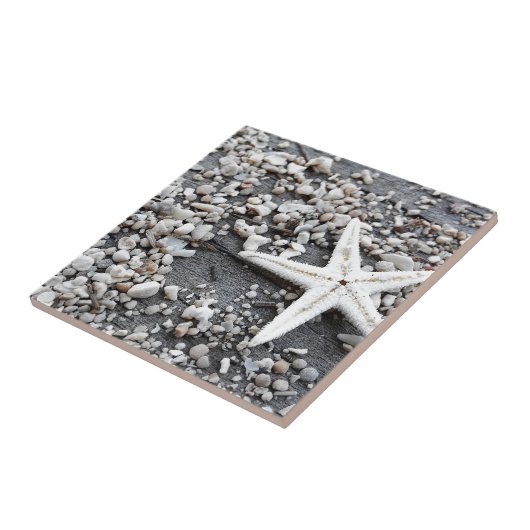 Muster der Muschel im Küstenmeer Fliese (Seite)