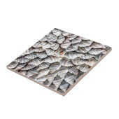 Muster der Muschel im Küstenmeer Fliese (Seite)