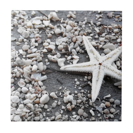 Muster der Muschel im Küstenmeer Fliese (Vorderseite)