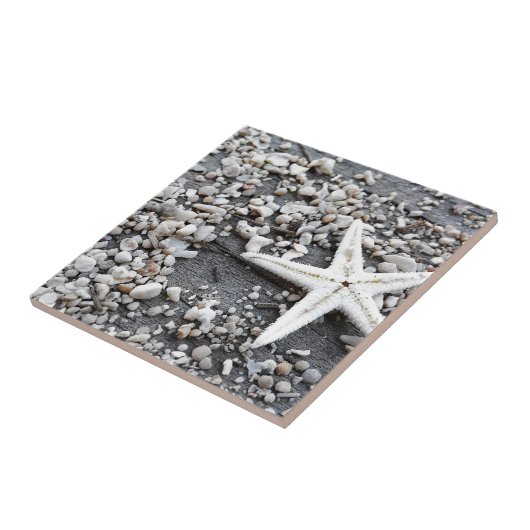 Muster der Muschel im Küstenmeer Fliese (Seite)