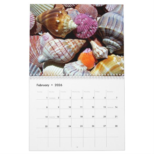 Muster der Muschel im Küstenmeer Kalender (Feb 2026)