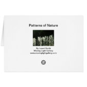 Muster der Natur (Rückseite Horizontal)