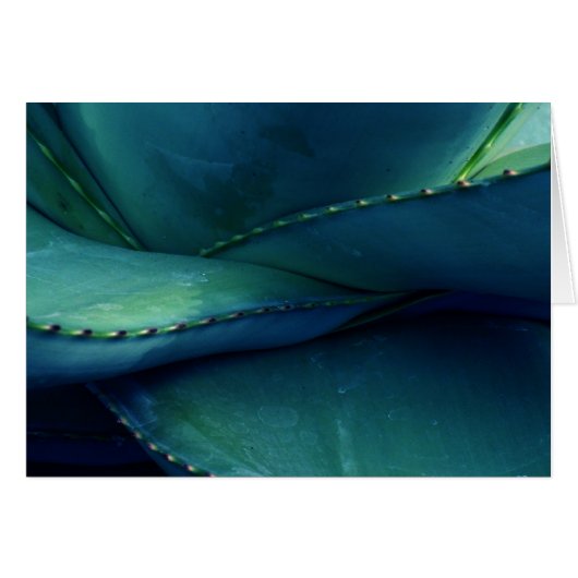 Muster der Natur (Vorderseite (Horizontal))