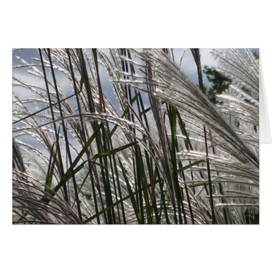 Muster der Natur (Vorderseite (Horizontal))