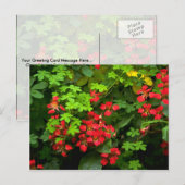 Muster der Natur Postkarte (Vorne/Hinten)