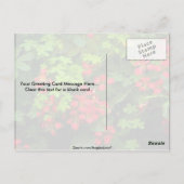 Muster der Natur Postkarte (Rückseite)