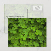 Muster der Natur Postkarte (Vorne/Hinten)