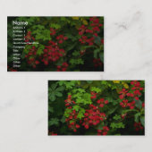 Muster der Natur Visitenkarte (Vorne/Hinten)