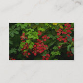 Muster der Natur Visitenkarte (Rückseite)