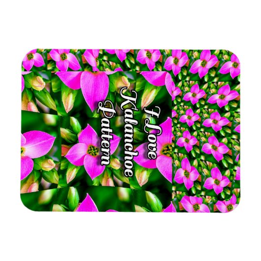 Muster der rosa tropischen Blume Magnet (Horizontal)