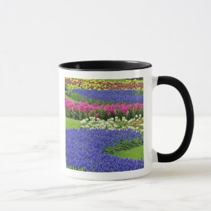 Muster der Traubenhyazinthe, Tulpen und 3 Tasse