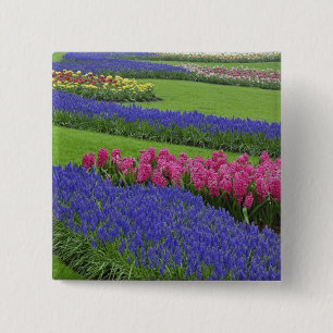 Muster der Traubenhyazinthe, Tulpen und Button