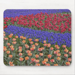 Muster der Tulpen und der Blume des Weintraubs, 3 Mousepad
