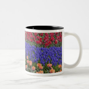 Muster der Tulpen und der Blume des Weintraubs, 3 Zweifarbige Tasse