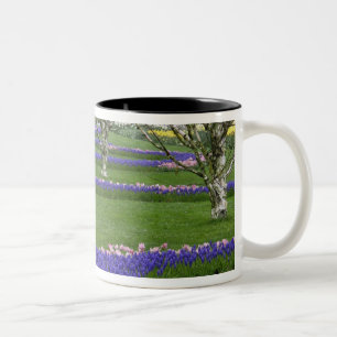 Muster der Tulpen und der Blume des Weintraubs, 4 Zweifarbige Tasse
