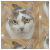 Muster des benutzerdefinierten Fotos für Hunde Stoff (Nahaufnahme)