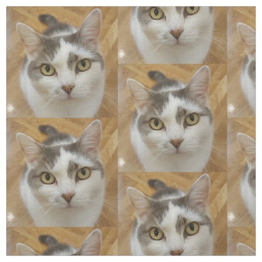 Muster des benutzerdefinierten Fotos für Hunde Stoff (Muster)