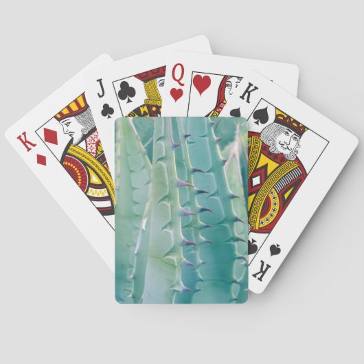 Muster einer Agave Spielkarten (Rückseite)