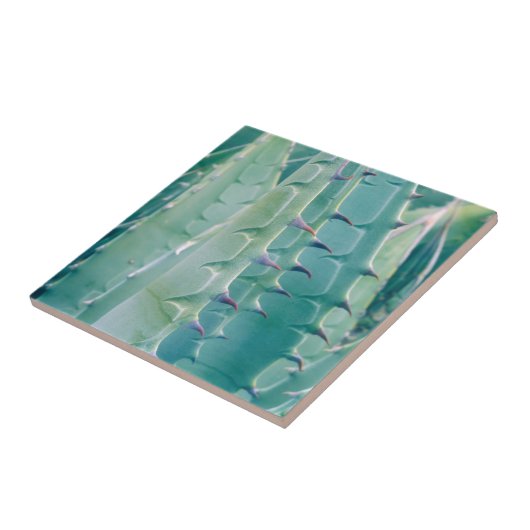 Muster einer alten Pflanze Fliese (Seite)