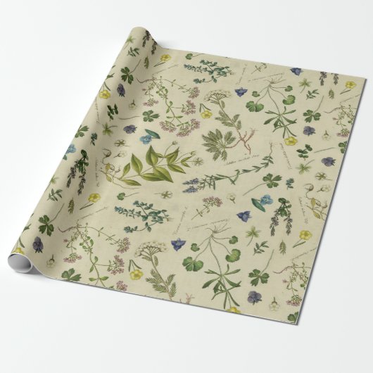 Muster für botanische Vintage Blume Geschenkpapier (Ungerollt)