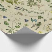 Muster für botanische Vintage Blume Geschenkpapier (Ecke)