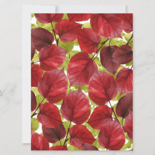 Muster für Herbstverläufe