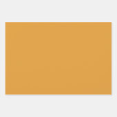 Muster für niedliche Orangen und grüne Blätter (Vorderseite 2)