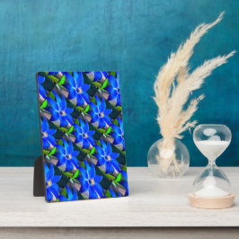 Muster für tiefe blaue Blume Fotoplatte