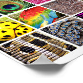 Muster für Tiere und Insekten Poster (Ecke)