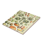 Muster für Vintage Creme Vegetables Fliese (Seite)