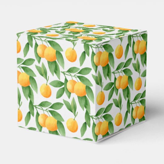 Muster für Wasserfarben oder Mandarinen Geschenkschachtel (Rückseite)