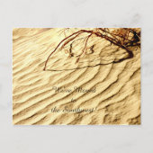 Muster im Sand, Ankündigung einer neuen Adresse (Vorderseite)