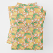 Muster-Kollektion für Obstkörbe - Lemon Geschenkpapier Set (Beispiel)