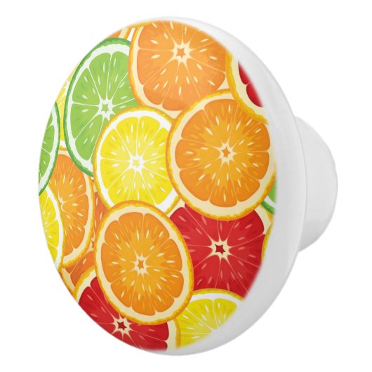 Muster mit Zitrusfrüchten Keramikknauf (Rechts)