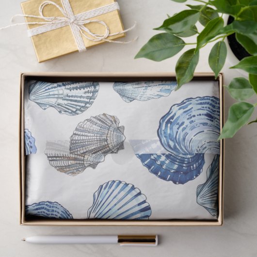 Muster-Muscheln für blaue Clam Seidenpapier (Geschenk)