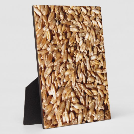 Muster vieler kleiner Körner Fotoplatte (Seite)