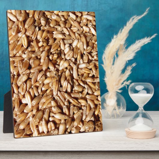 Muster vieler kleiner Körner Fotoplatte (Seite)