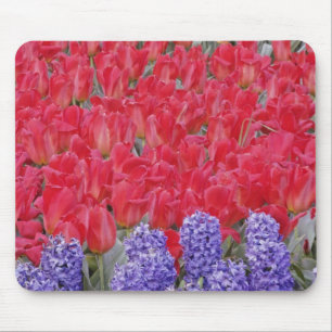 Muster von Hyazinthen, Tulpen und Daffodien, Mousepad