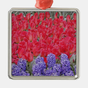 Muster von Hyazinthen, Tulpen und Narzissen, Silbernes Ornament