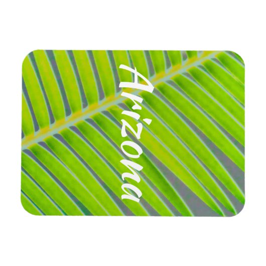 Muster von Palmen, Arizona Magnet (Horizontal)